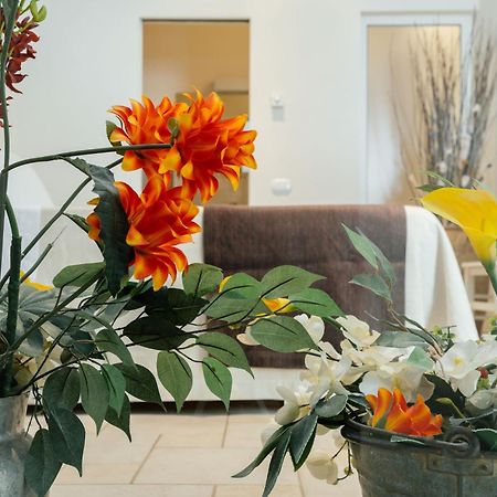 Il Claustro - Bed And Breakfast Altamura Extérieur photo